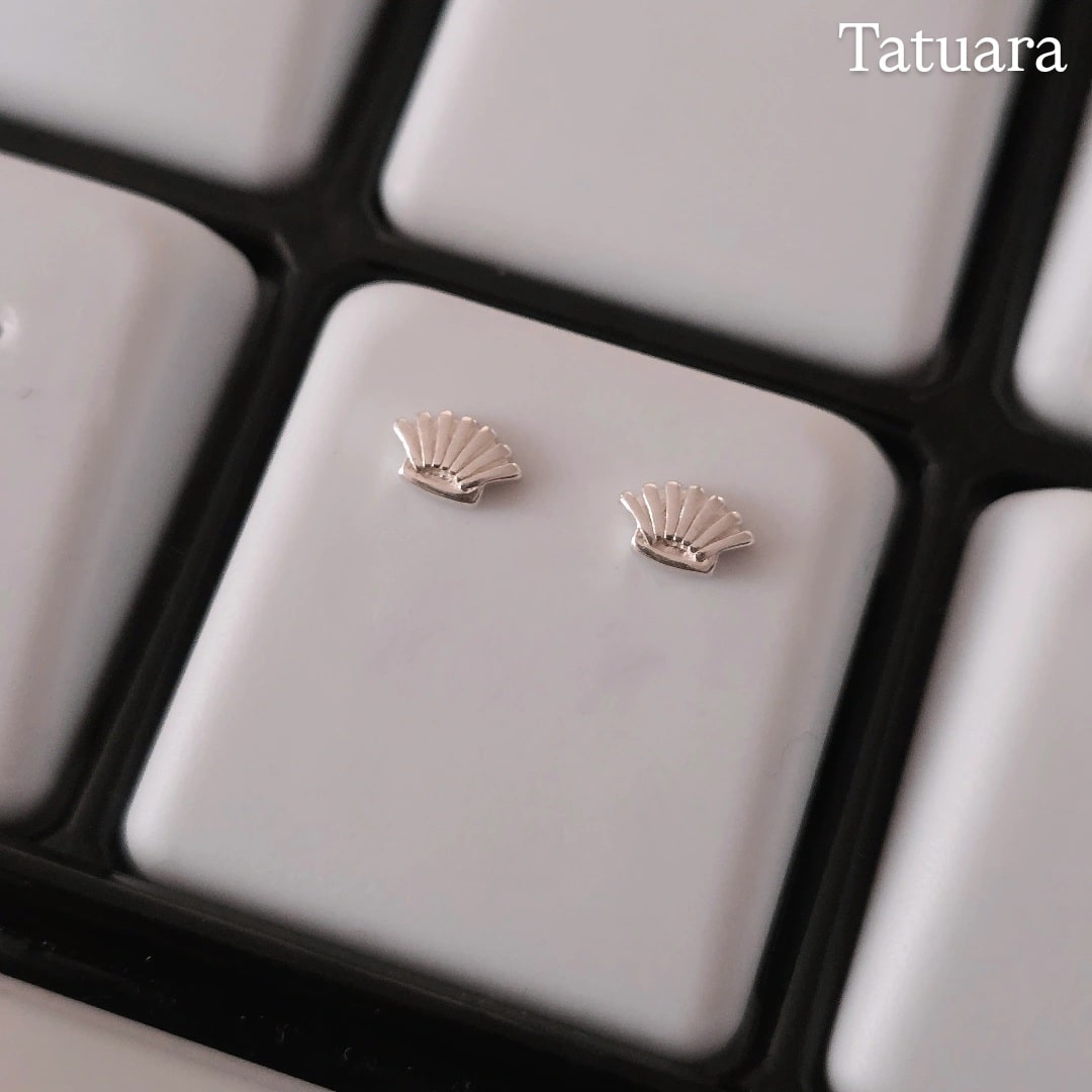 Aros apegados concha