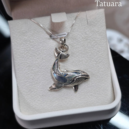 Collar ballena abalon
