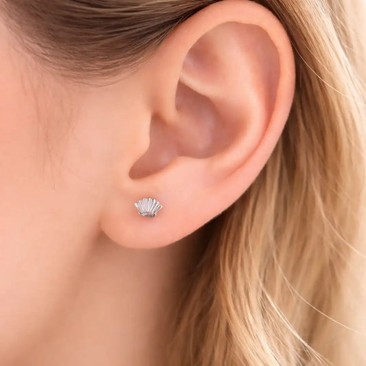 Aros apegados concha